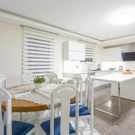 Vila Ozcelik *